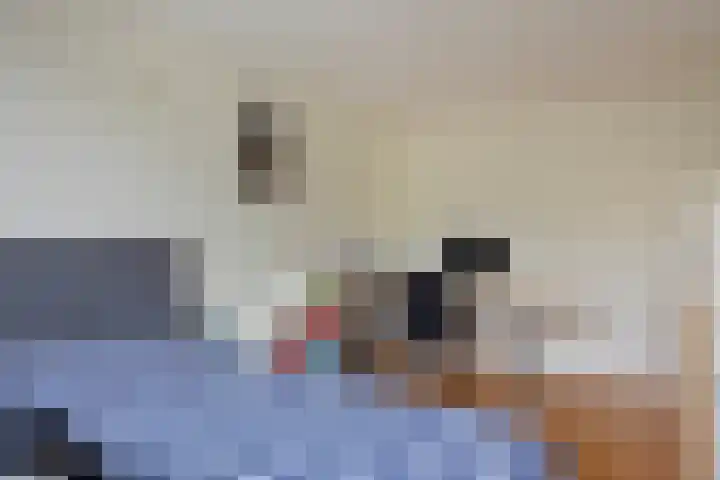 Berkenoord 35 Vaassen thumbnail 17