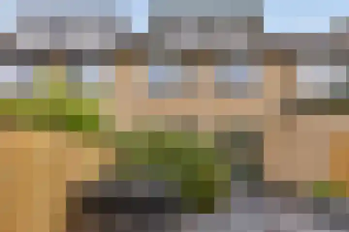 Berkenoord 35 Vaassen thumbnail 22