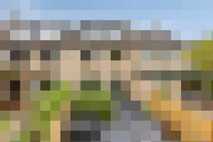 Berkenoord 35 Vaassen thumbnail 23