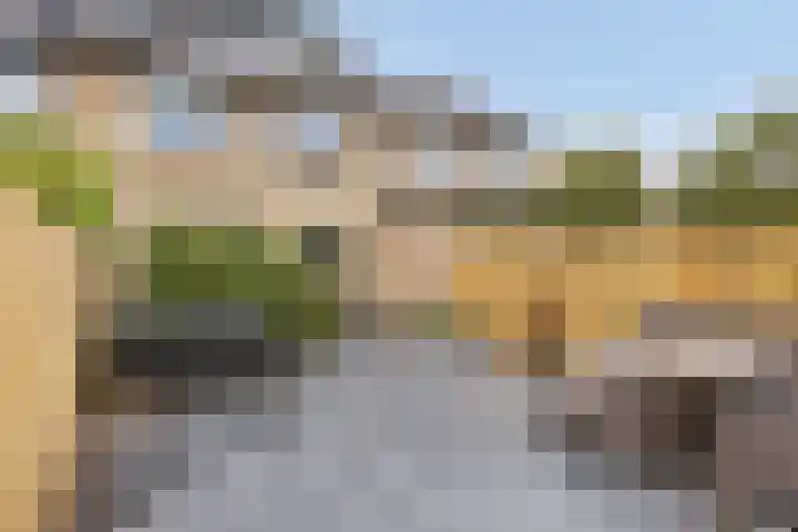 Berkenoord 35 Vaassen thumbnail 24