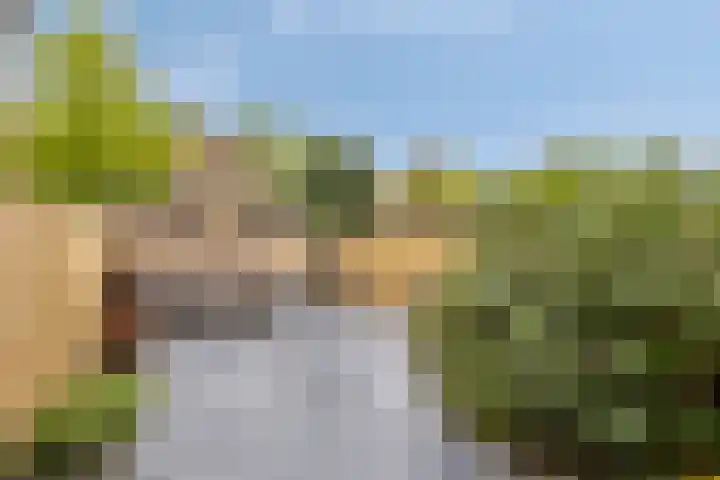 Berkenoord 35 Vaassen thumbnail 25