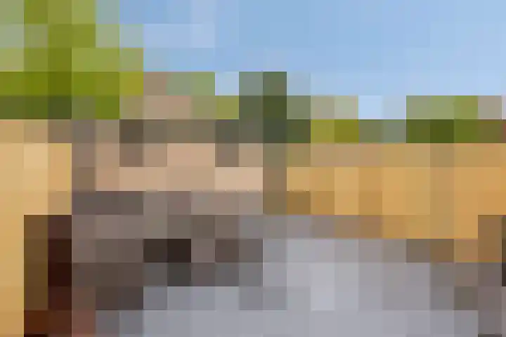 Berkenoord 35 Vaassen thumbnail 26