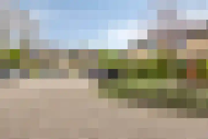 Berkenoord 35 Vaassen thumbnail 27
