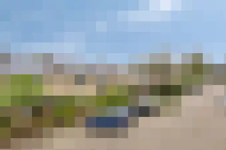 Berkenoord 35 Vaassen thumbnail 28