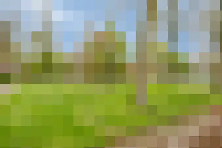 Berkenoord 35 Vaassen thumbnail 29