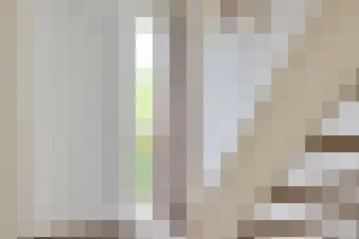 Berkenoord 35 Vaassen thumbnail 4