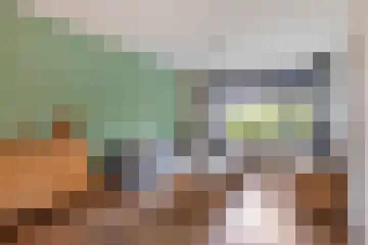 Berkenoord 35 Vaassen thumbnail 5