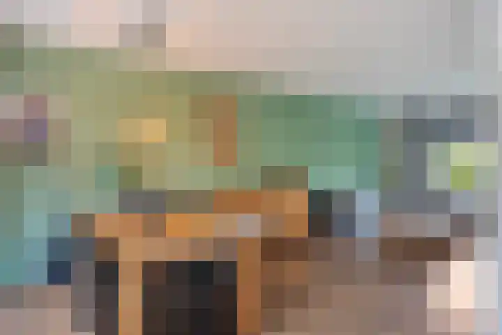 Berkenoord 35 Vaassen thumbnail 8