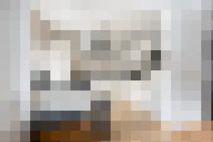 Berkenoord 5 Vaassen thumbnail 10