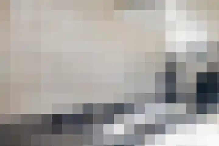 Berkenoord 5 Vaassen thumbnail 13