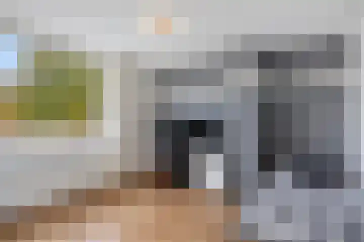 Berkenoord 5 Vaassen thumbnail 19