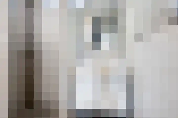 Berkenoord 5 Vaassen thumbnail 23
