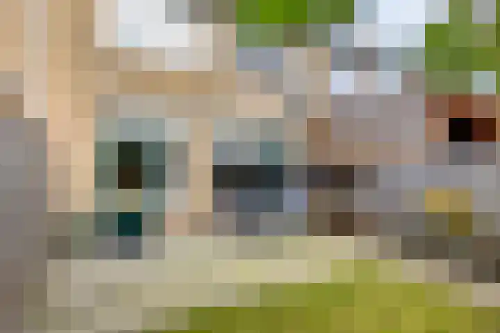 Berkenoord 5 Vaassen thumbnail 32