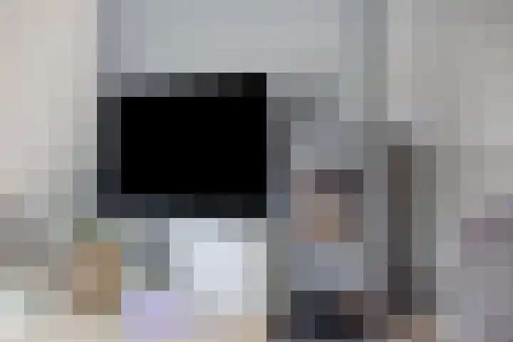 Berkenoord 5 Vaassen thumbnail 7