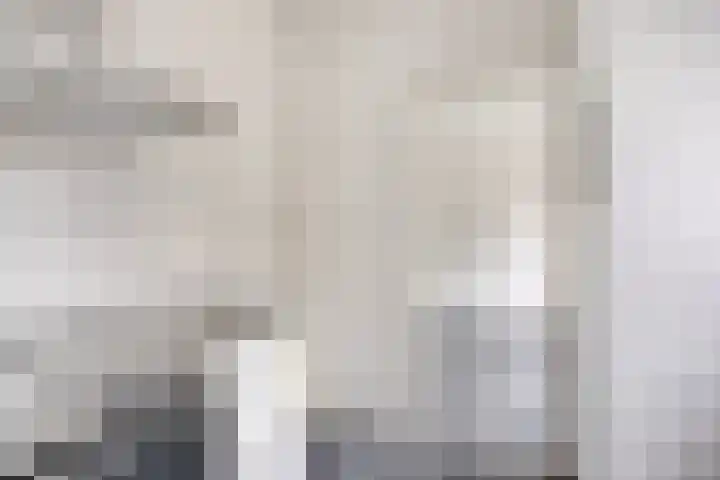 Berkenoord 67 Vaassen thumbnail 10