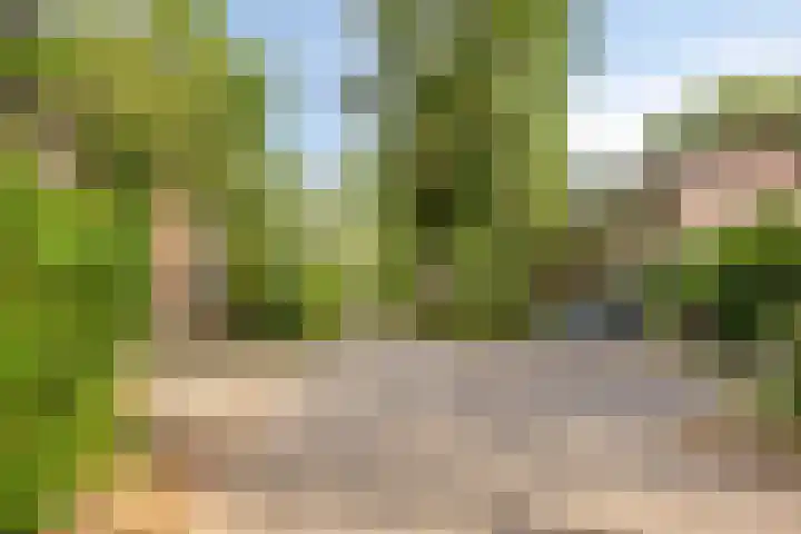 Berkenoord 67 Vaassen thumbnail 12