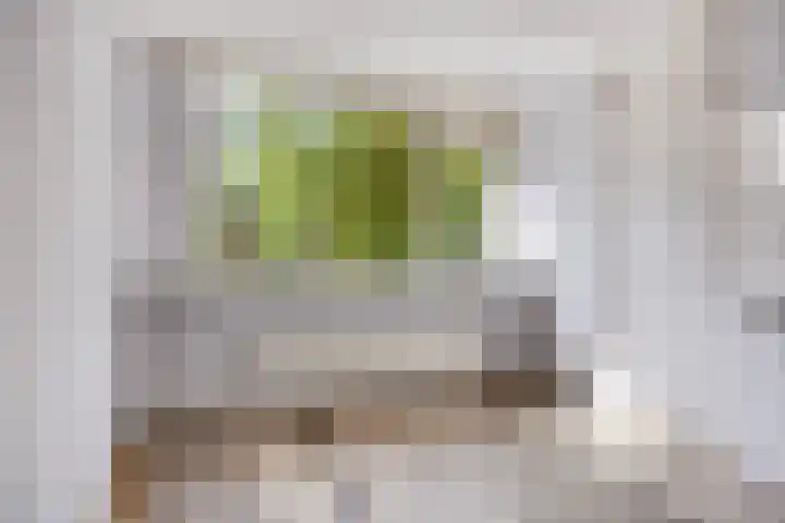 Berkenoord 67 Vaassen thumbnail 13