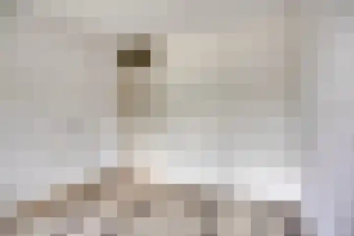 Berkenoord 67 Vaassen thumbnail 14