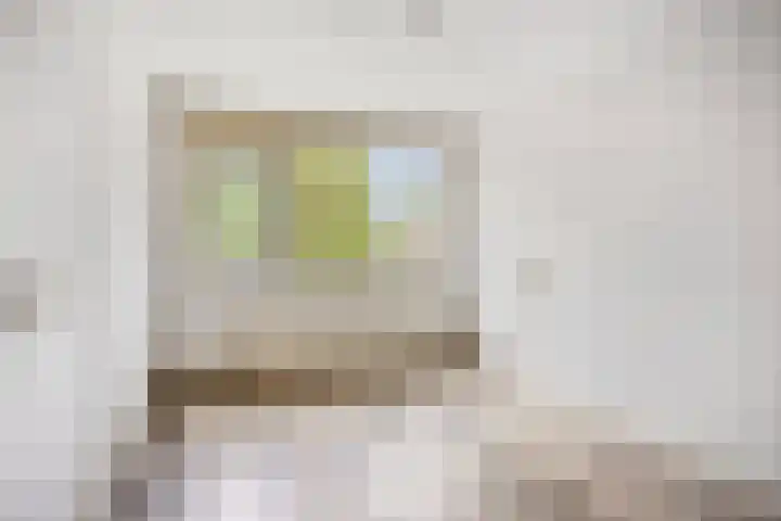 Berkenoord 67 Vaassen thumbnail 15