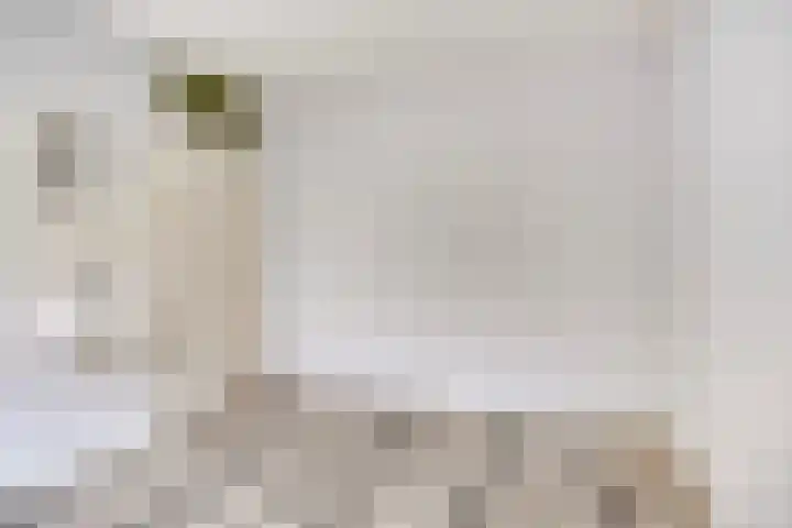 Berkenoord 67 Vaassen thumbnail 16