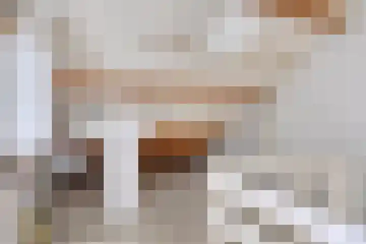 Berkenoord 67 Vaassen thumbnail 22