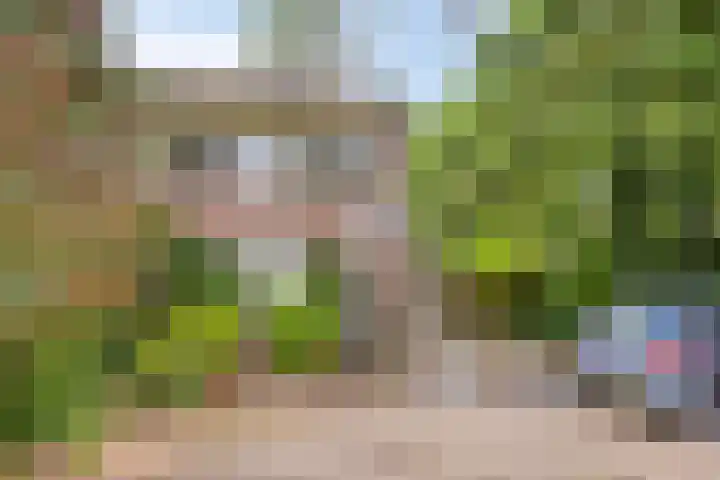 Berkenoord 67 Vaassen thumbnail 28