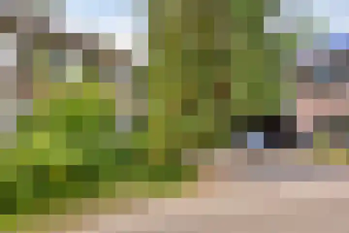 Berkenoord 67 Vaassen thumbnail 29