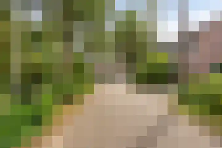 Berkenoord 67 Vaassen thumbnail 30