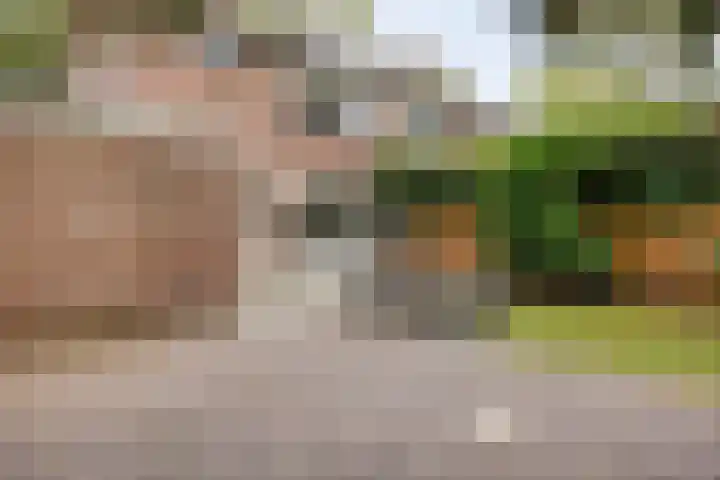 Berkenoord 67 Vaassen thumbnail 31