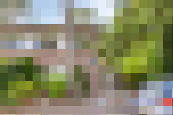 Berkenoord 67 Vaassen thumbnail 35