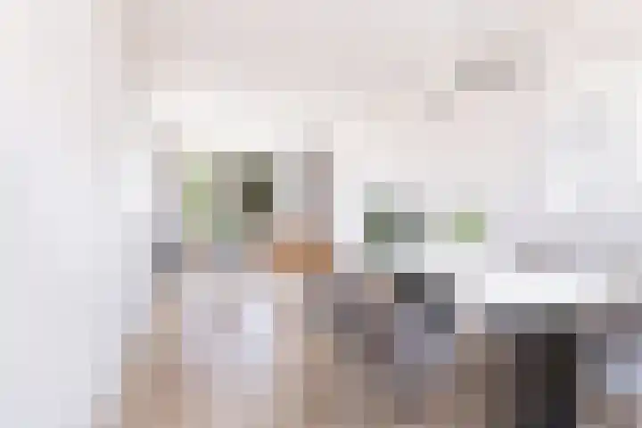 Berkenoord 67 Vaassen thumbnail 4