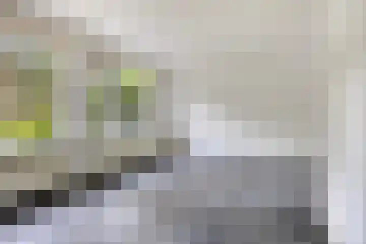 Berkenoord 67 Vaassen thumbnail 5