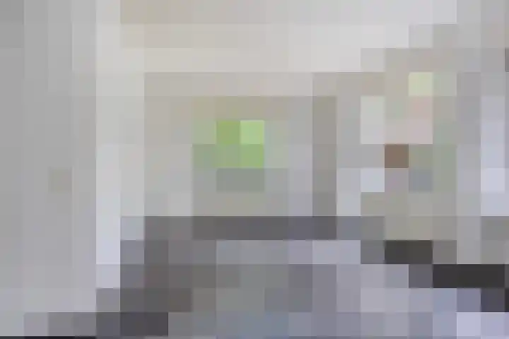 Berkenoord 67 Vaassen thumbnail 6