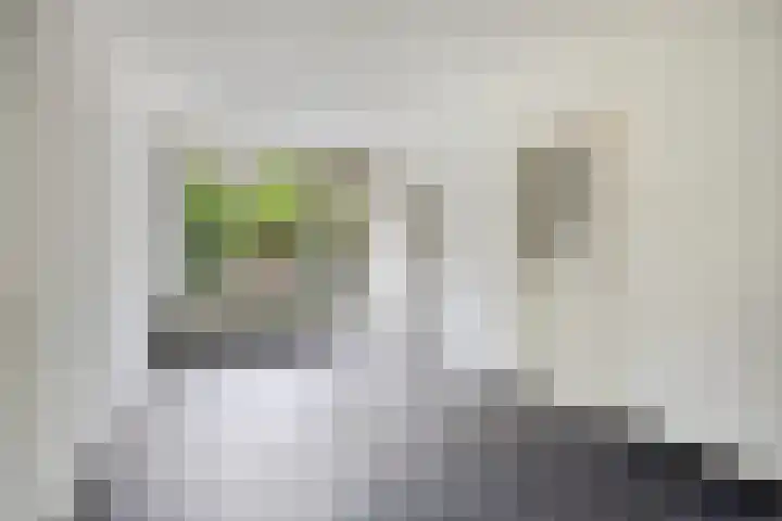Berkenoord 67 Vaassen thumbnail 7