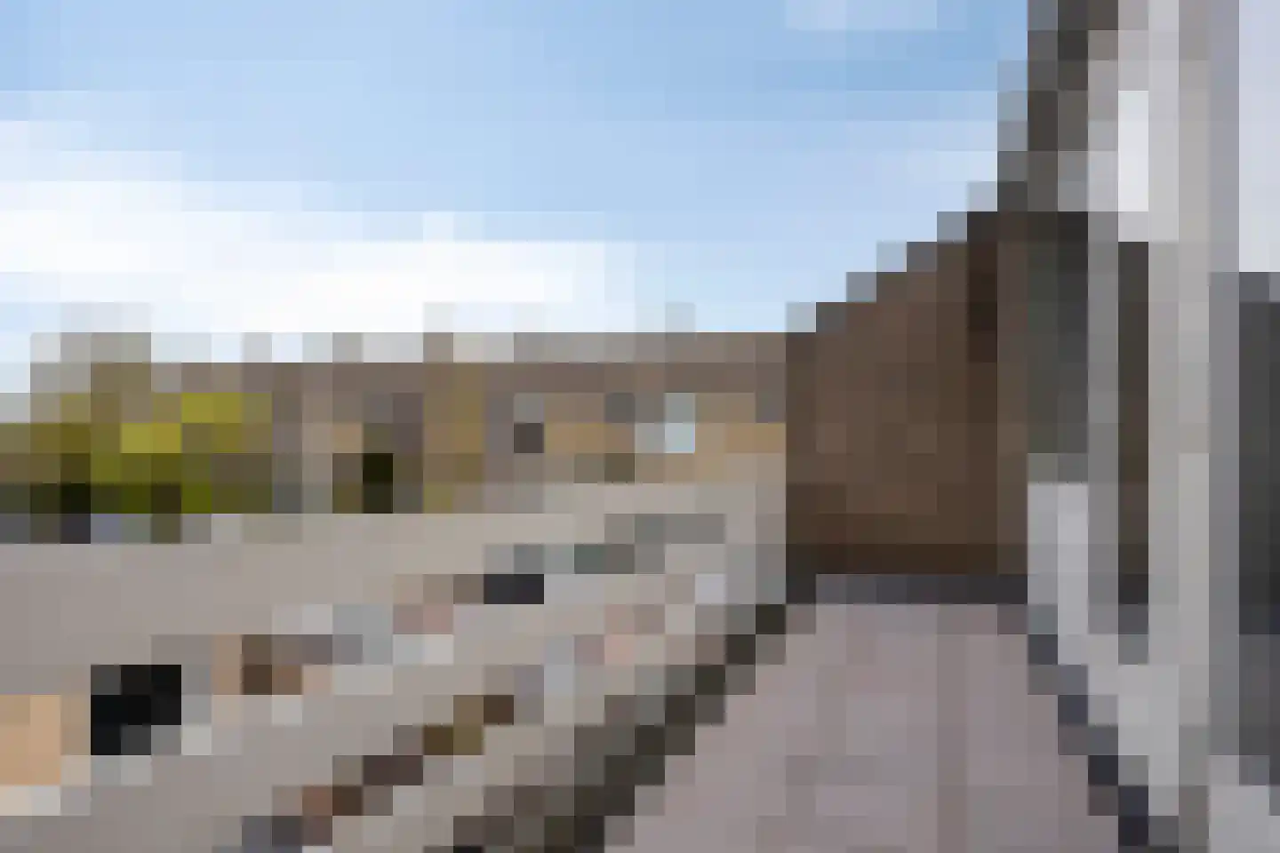 Berkenpad 1 Rijnsburg thumbnail 14