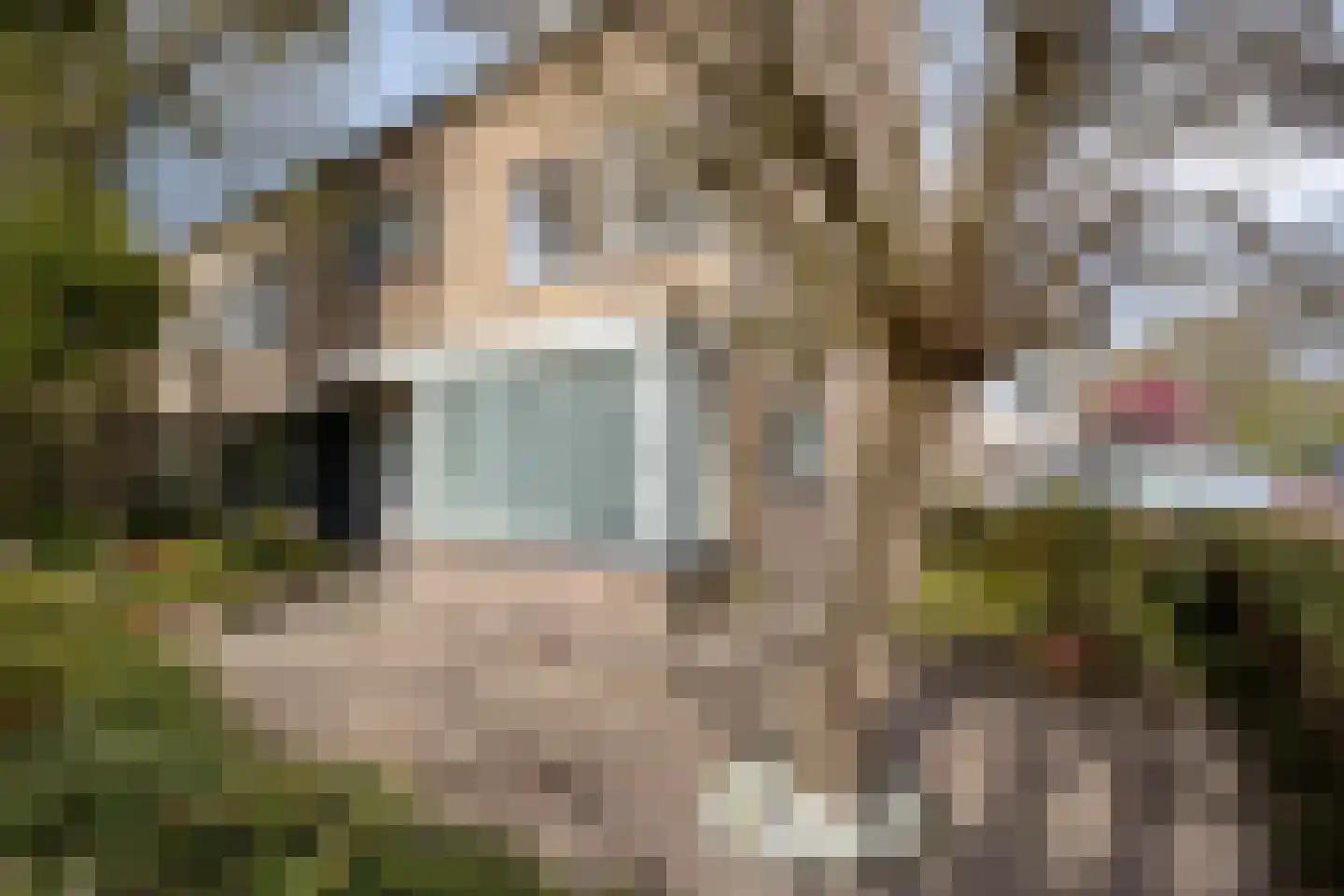 Berkenpad 1 Rijnsburg thumbnail 29