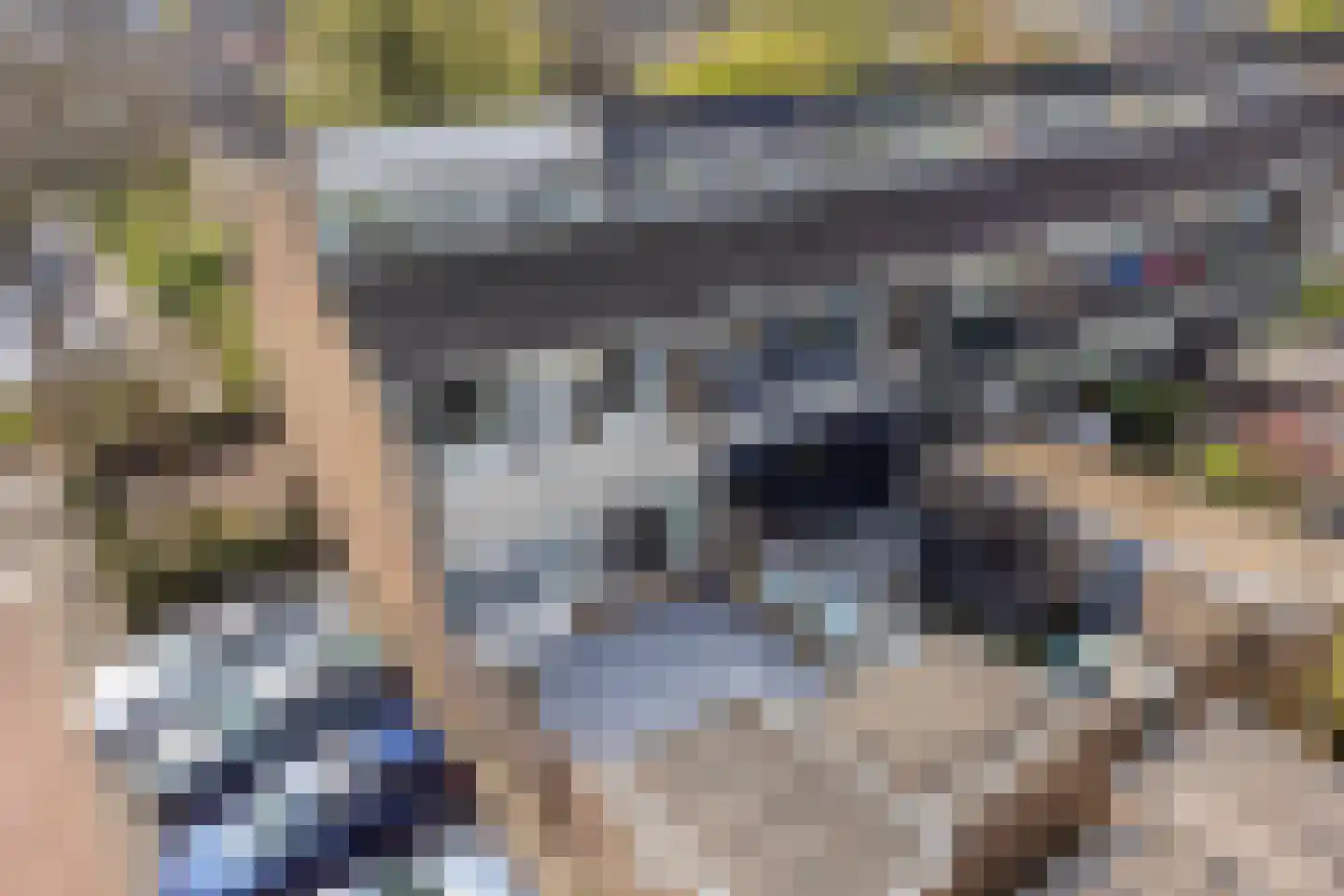 Berkenpad 1 Rijnsburg thumbnail 33