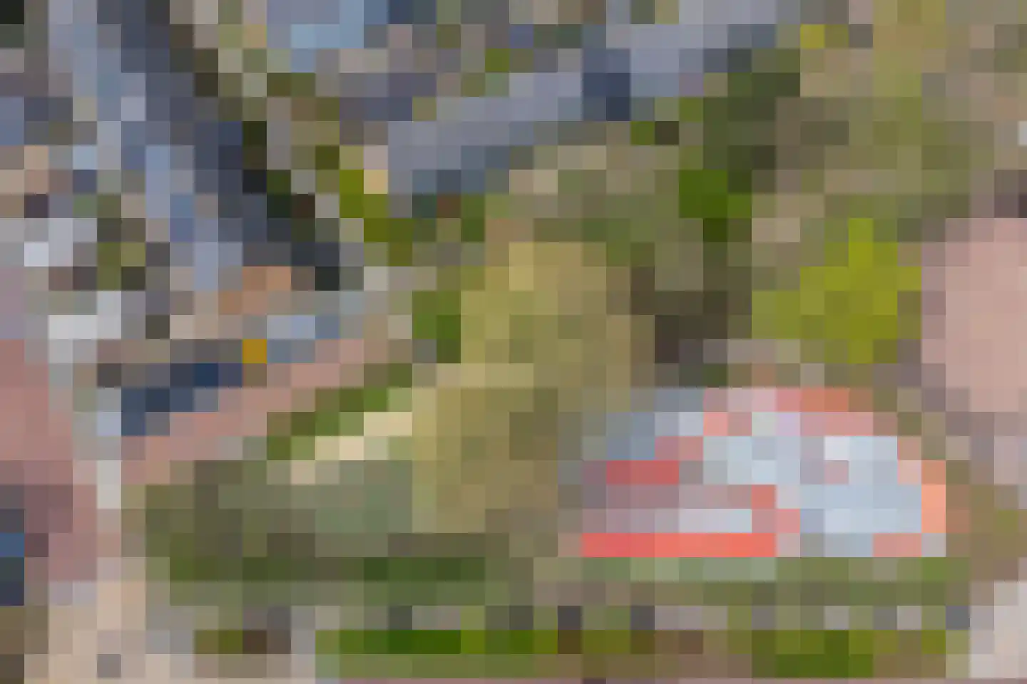 Berkenpad 1 Rijnsburg thumbnail 36