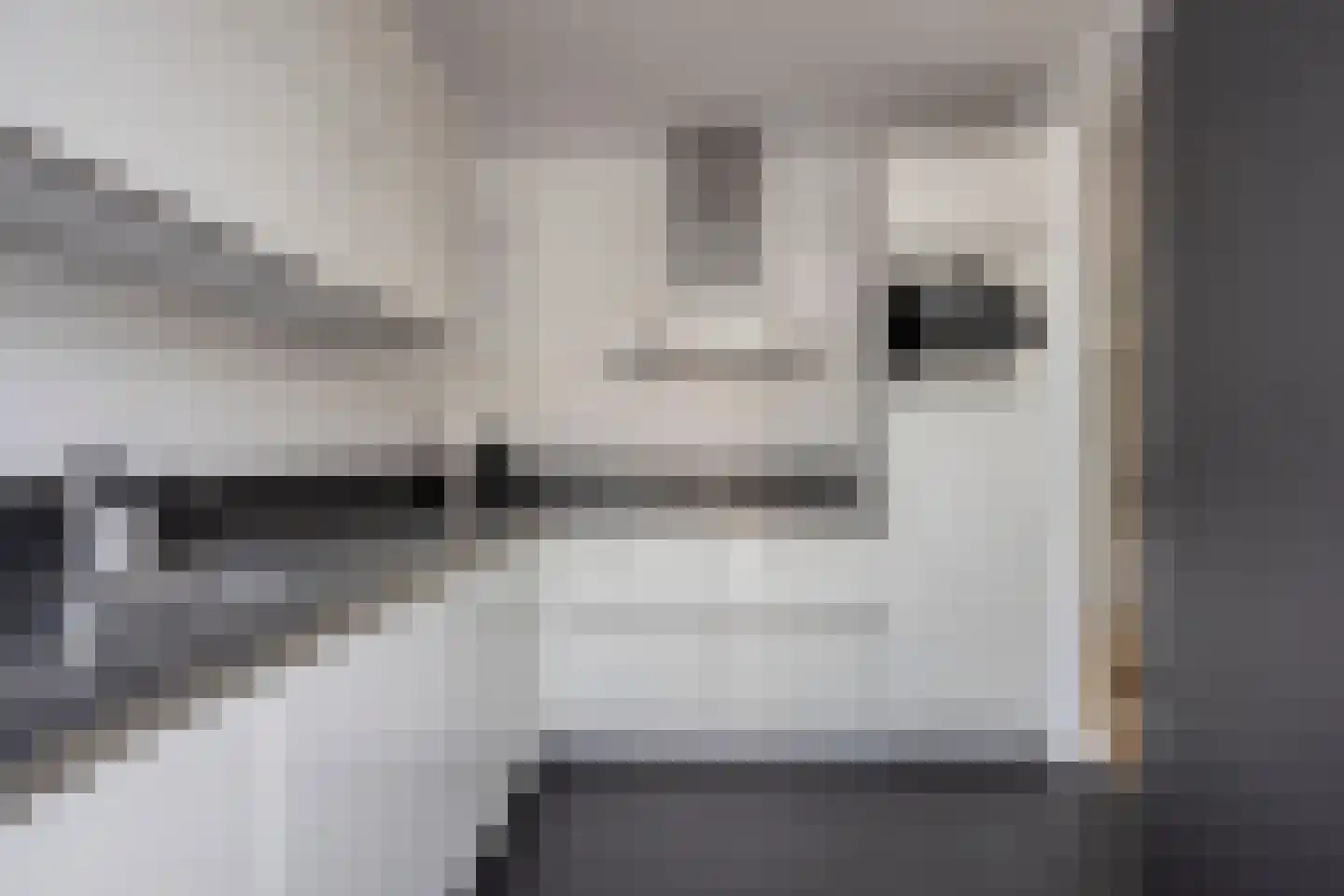 Berkenpad 1 Rijnsburg thumbnail 8
