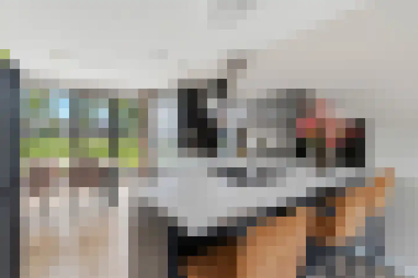 Berkenpad 13 Zeewolde thumbnail 16
