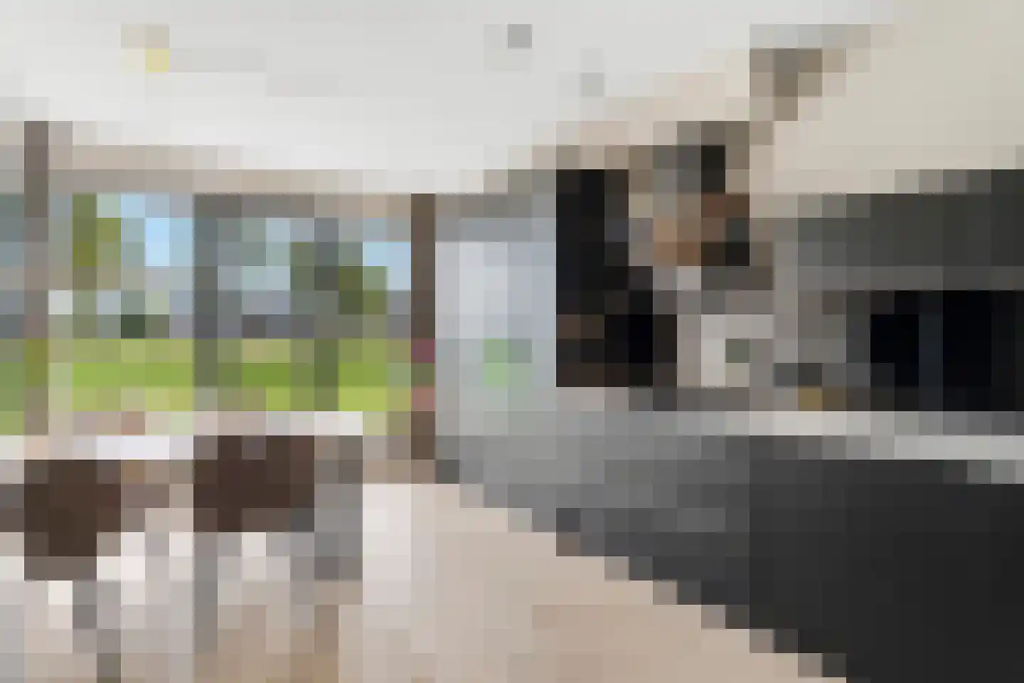 Berkenpad 13 Zeewolde thumbnail 17