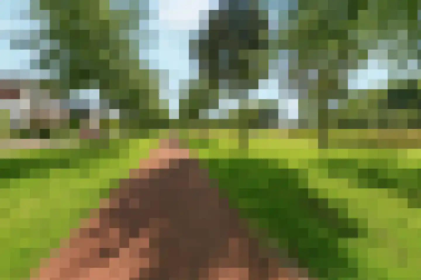 Berkenpad 13 Zeewolde thumbnail 62