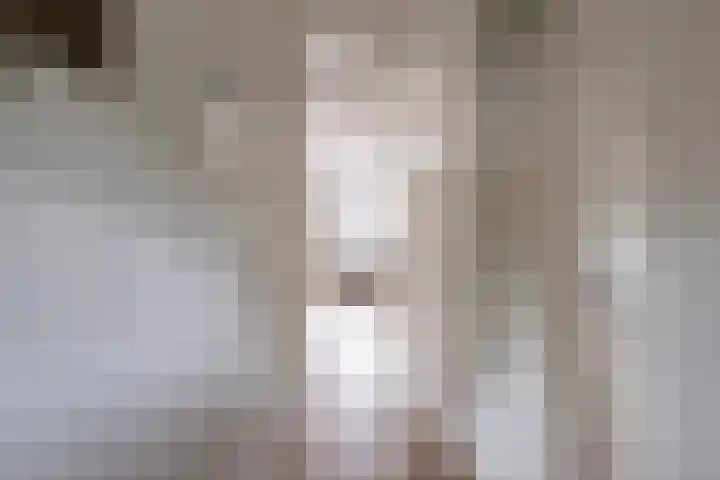 Berkenpad 25 Sint Philipsland thumbnail 11