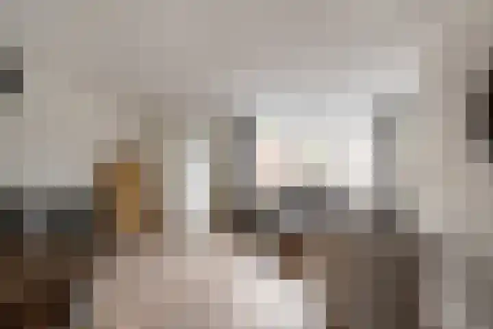 Berkenpad 25 Sint Philipsland thumbnail 12