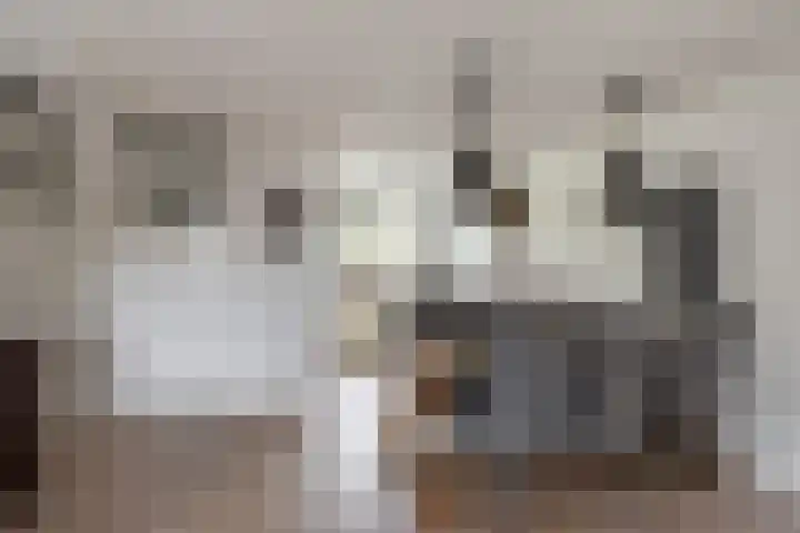 Berkenpad 25 Sint Philipsland thumbnail 15