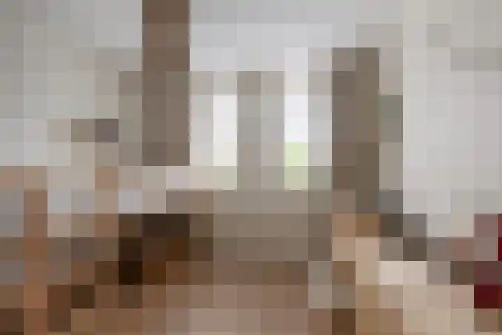Berkenpad 25 Sint Philipsland thumbnail 24