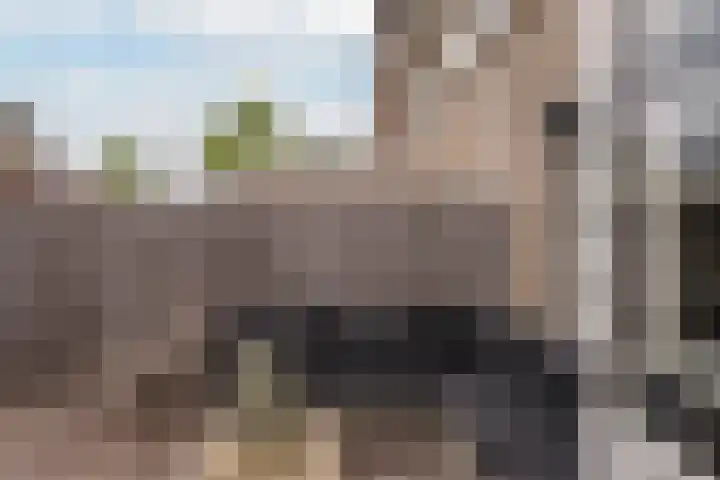 Berkenpad 25 Sint Philipsland thumbnail 31