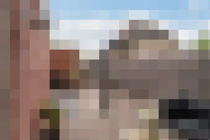 Berkenpad 25 Sint Philipsland thumbnail 32