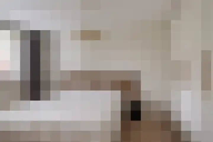 Berkenpad 25 Sint Philipsland thumbnail 4