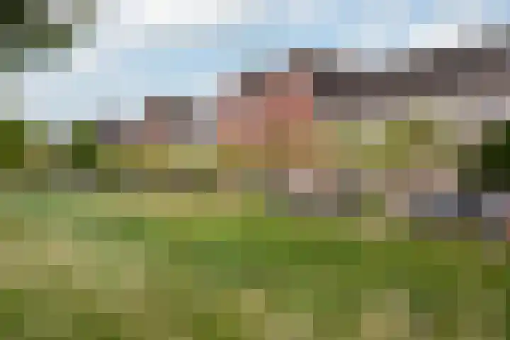 Berkenpad 25 Sint Philipsland thumbnail 5